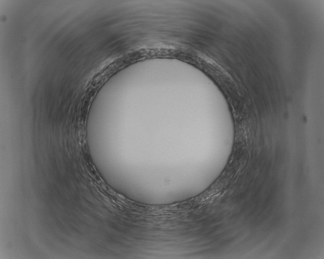 X0000069380870200605120915