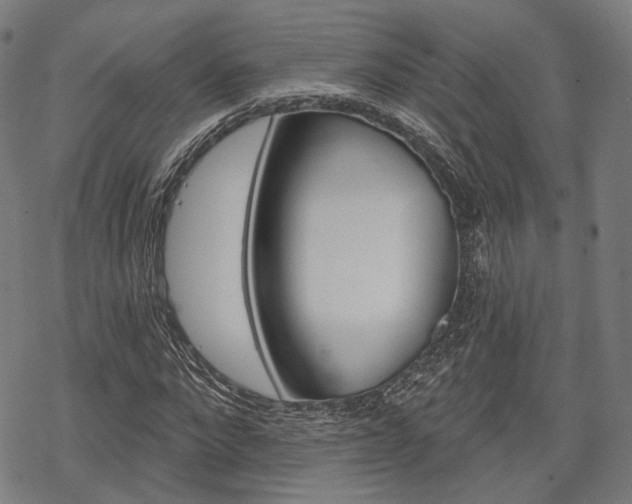 X0000069380872200605120915