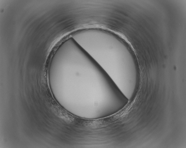 X0000069380879200605120915