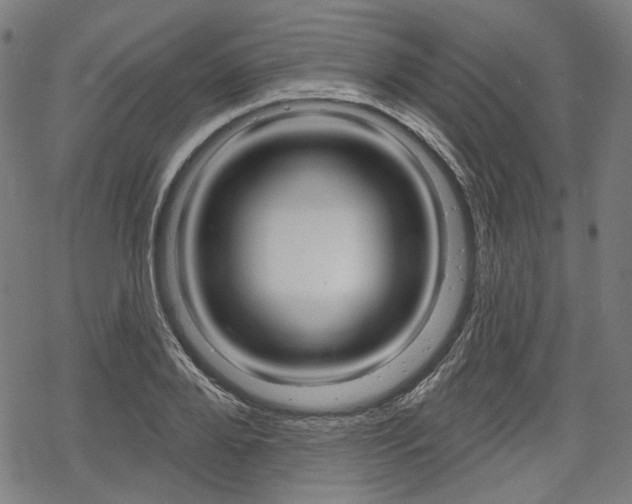 X0000069380888200605120915