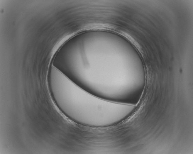 X0000069380901200605120914
