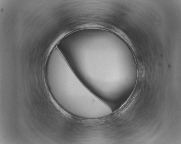 X0000069380909200605120914