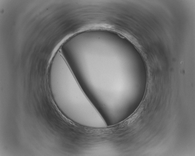 X0000069380912200605120914