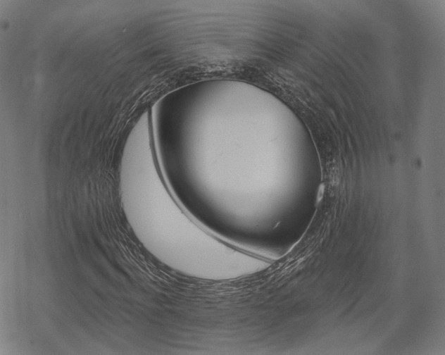 X0000069380916200605120914