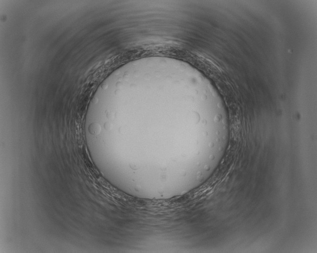 X0000069380917200605120914