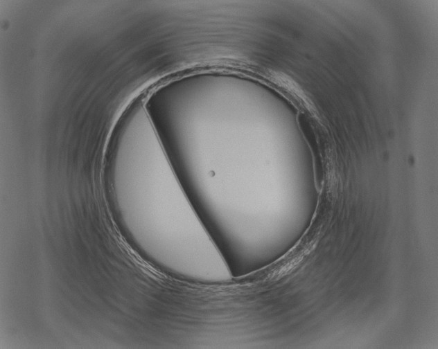 X0000069380924200605120914