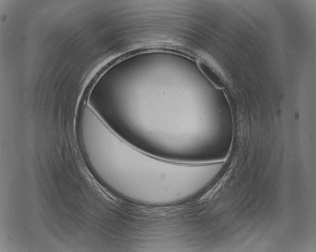 X0000069380932200605120914