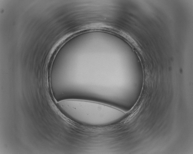 X0000069380939200605120914