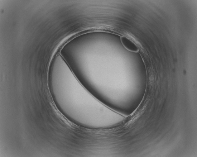 X0000069380940200605120914