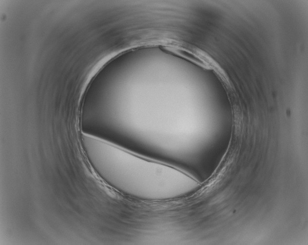 X0000069380956200605120914