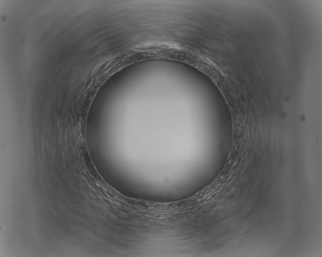 X0000069380965200605120913