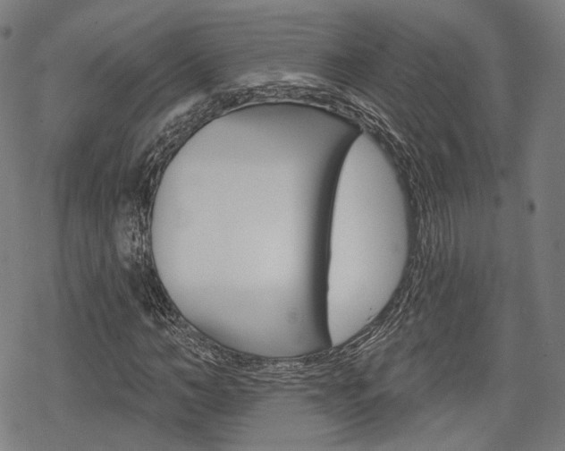 X0000069380966200605120913
