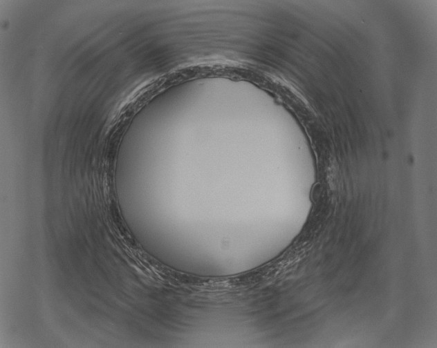 X0000069380968200605120913