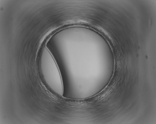 X0000069380975200605120913