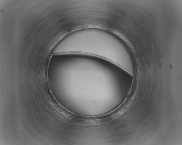 X0000069380977200605120913