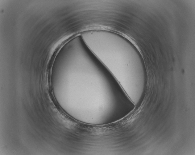 X0000069380987200605120913