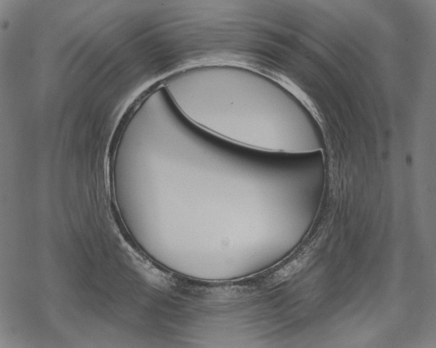 X0000069380988200605120913