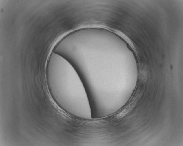 X0000069381004200605120913