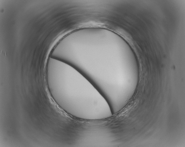 X0000069381008200605120913