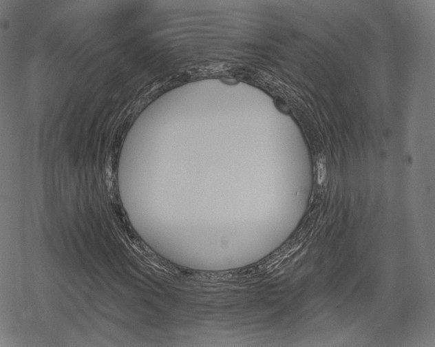 X0000069381011200605120912