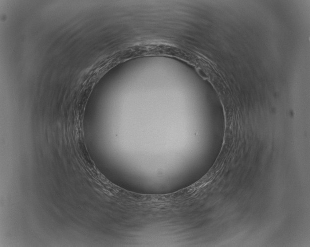 X0000069381014200605120912