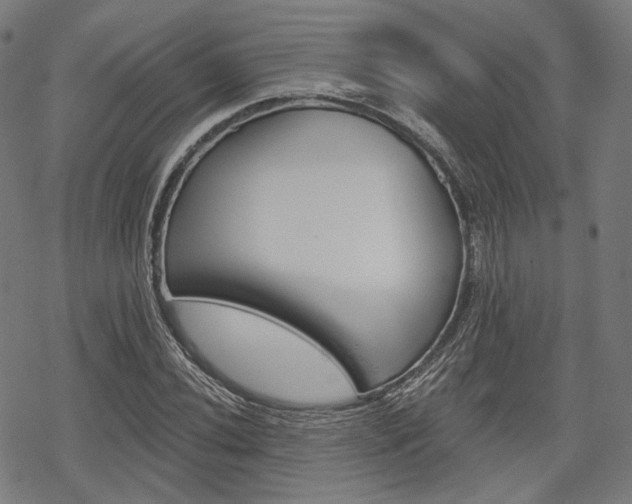 X0000069381020200605120912