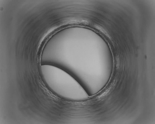 X0000069381021200605120912