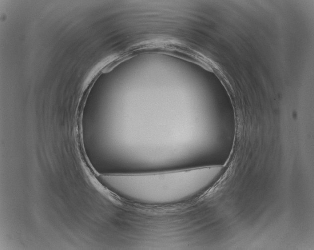 X0000069381042200605120912