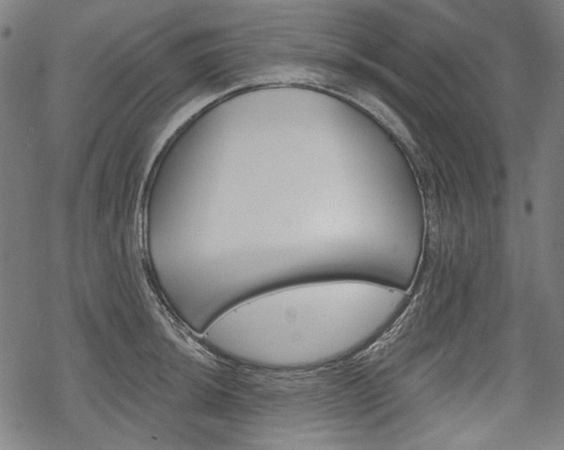X0000069381044200605120912