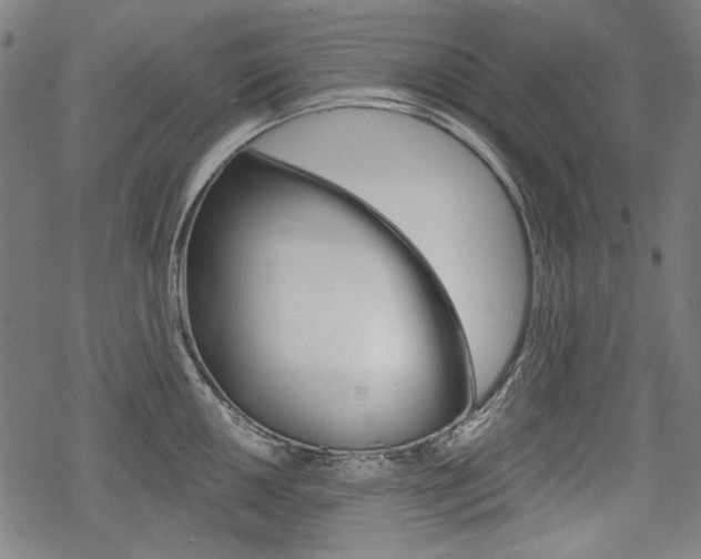 X0000069381050200605120913