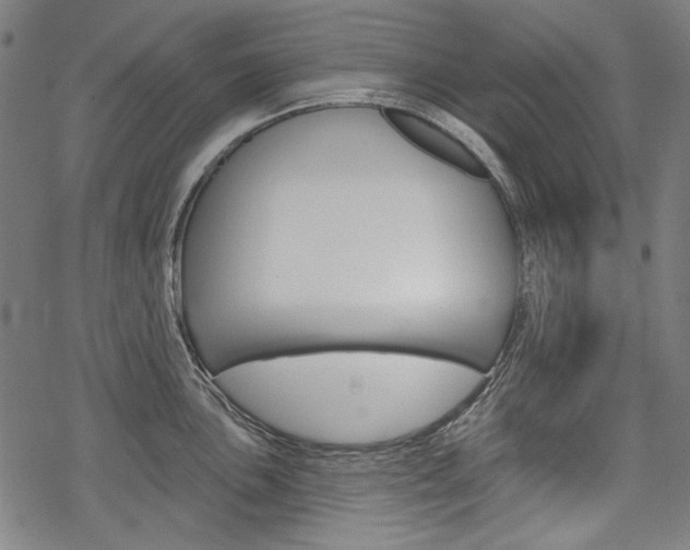 X0000069381051200605120913