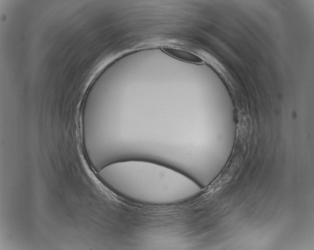 X0000069381055200605120913