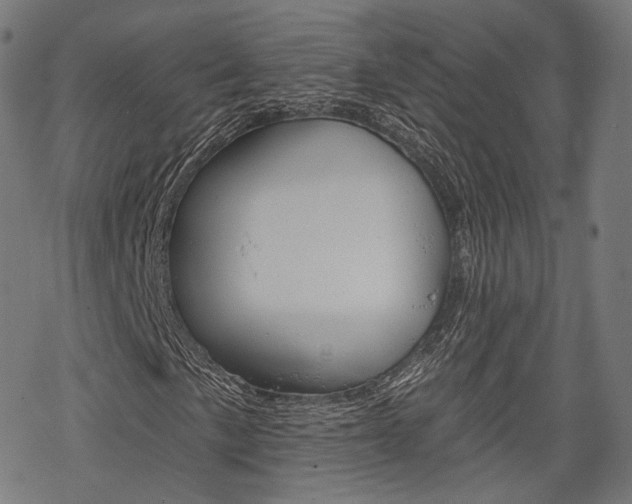 X0000069381057200605120912