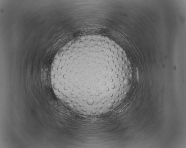 X0000069381059200605120912