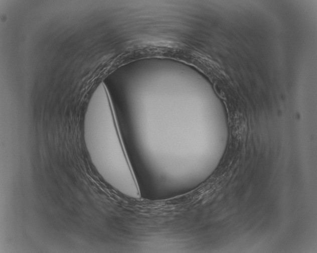 X0000069381061200605120912