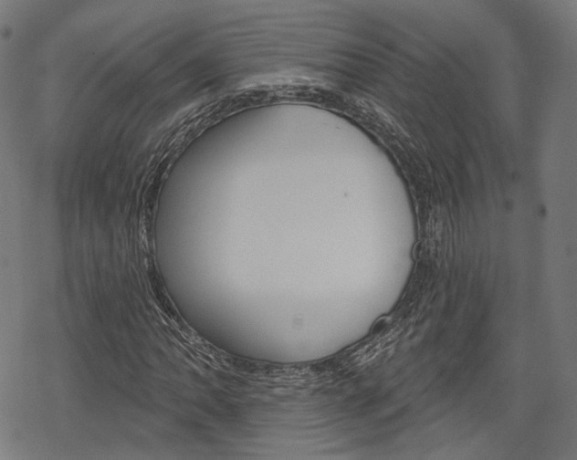 X0000069381062200605120912