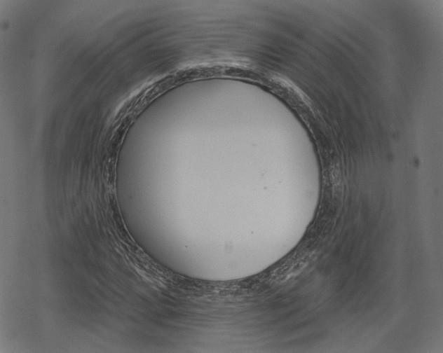 X0000069381064200605120912