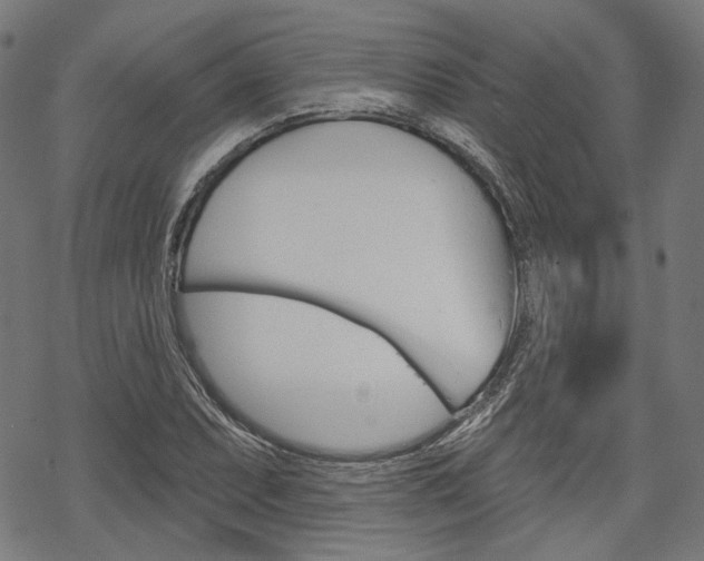 X0000069381071200605120912