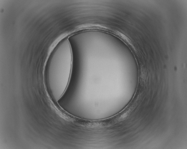 X0000069381082200605120912