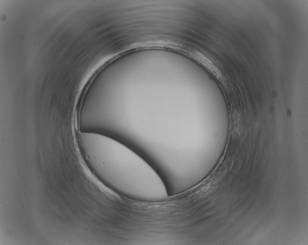 X0000069381084200605120911