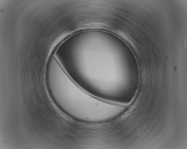 X0000069381085200605120911