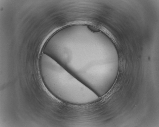 X0000069381092200605120911