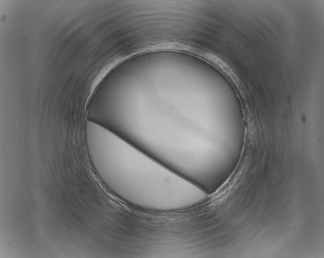 X0000069381097200605120911