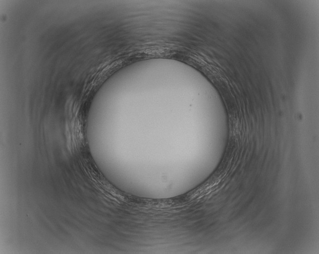 X0000069381106200605120910