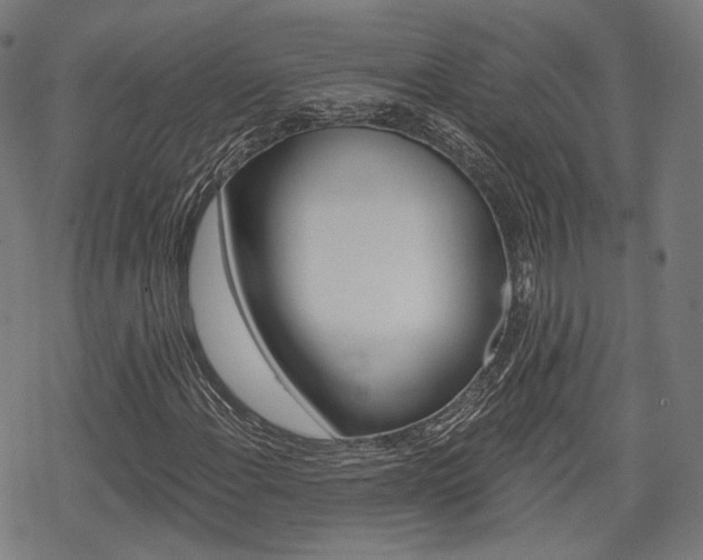 X0000069381108200605120910