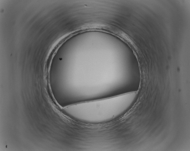 X0000069381124200605120911