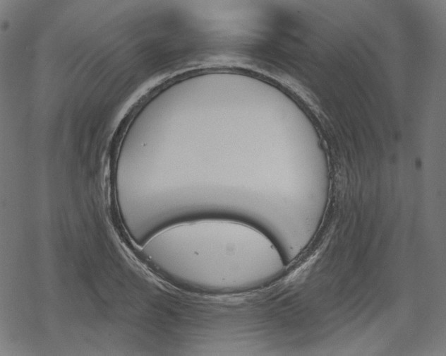 X0000069381126200605120911