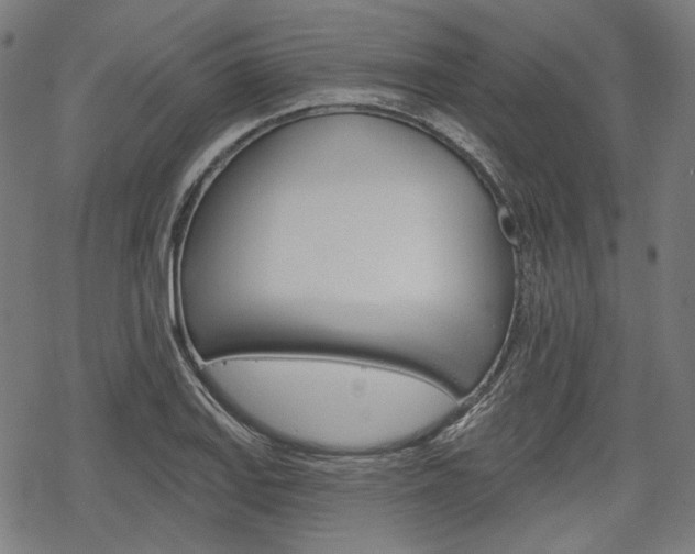X0000069381127200605120911