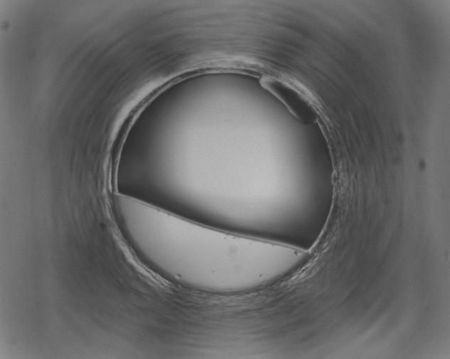 X0000069381128200605120911
