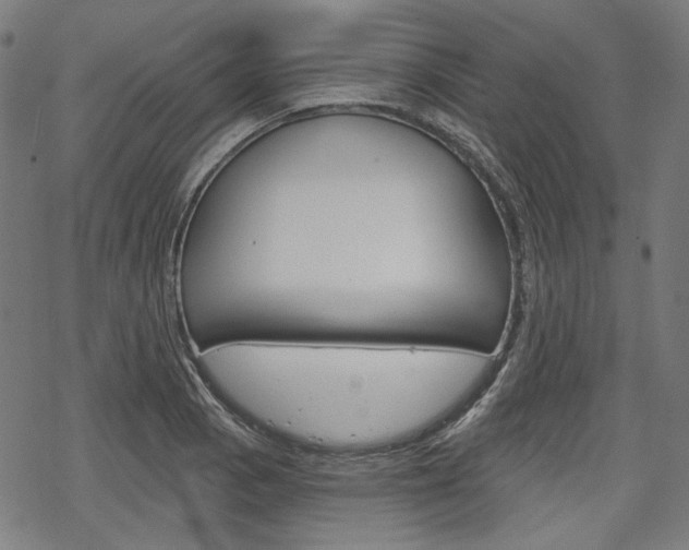 X0000069381129200605120911